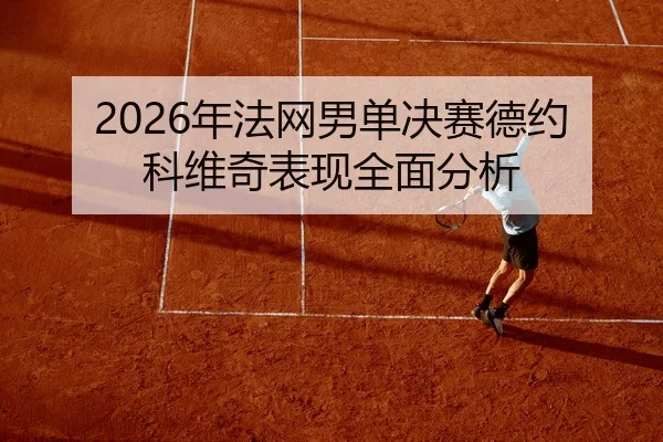 2026年法网男单决赛德约科维奇表现全面分析