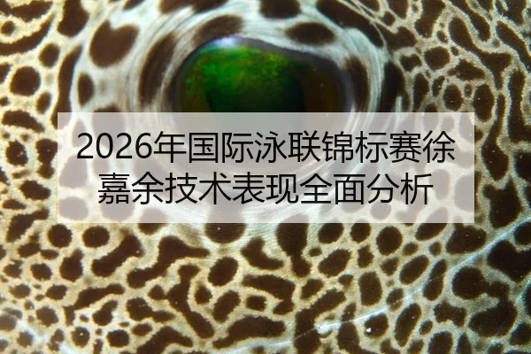 2026年国际泳联锦标赛徐嘉余技术表现全面分析