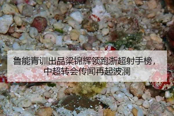 lu-neng-qing-xun-chu-pin-liang-jin-hui-ling-pao-zhe-chao-she-shou-bang-zhong-chao-zhuan-hui-chuan-wen-zai-qi-bo-lan-3-777.jpg